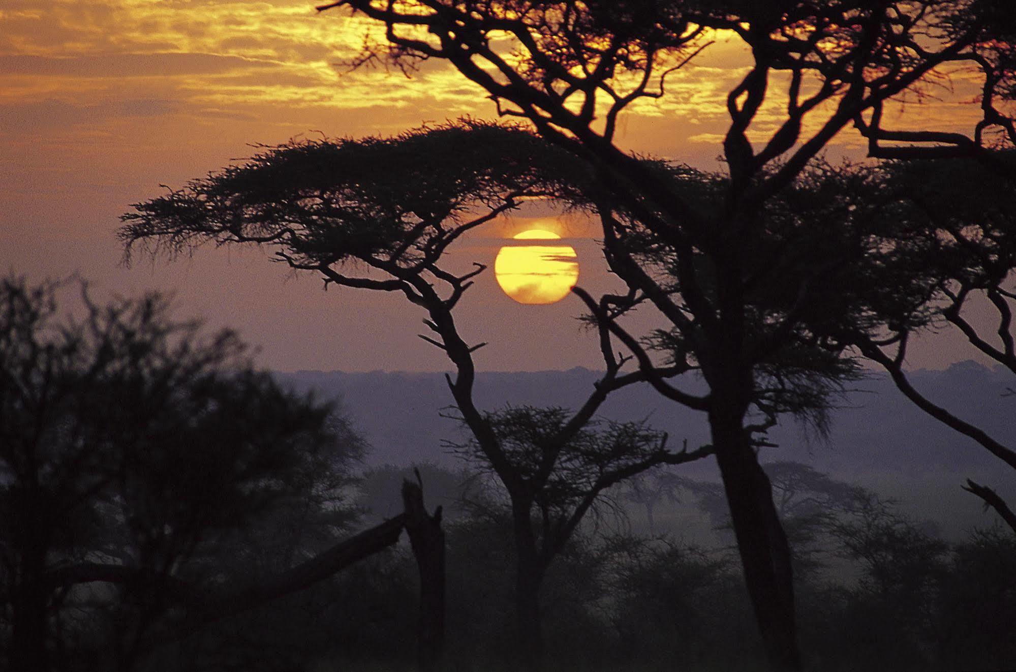 Sanctuary Swala Babati Exterior photo