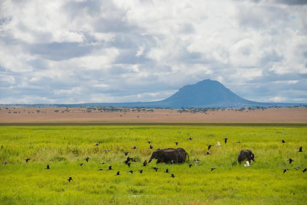 Sanctuary Swala Babati Exterior photo