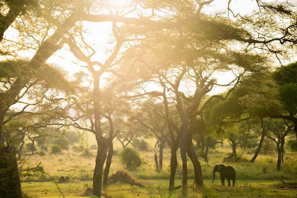 Sanctuary Swala Babati Exterior photo